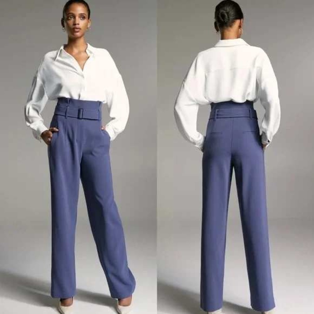 Babaton Aritzia Blue Dive Plongeon High Rise Belted Power Pants Wide Leg Trouser